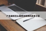 广东麻将怎么看牌池算牌的简单介绍