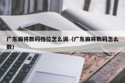 广东麻将数码档位怎么调（广东麻将数码怎么数）