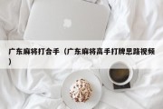 广东麻将打合手（广东麻将高手打牌思路视频）