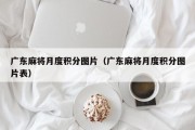 广东麻将月度积分图片（广东麻将月度积分图片表）