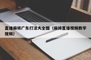 直播麻将广东打法大全图（麻将直播视频教学视频）