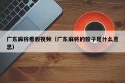广东麻将看骰视频（广东麻将的骰子是什么意思）