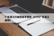 广东湛江打麻将高手视频（0759广东湛江麻将）