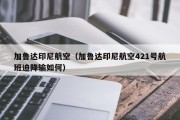 加鲁达印尼航空（加鲁达印尼航空421号航班迫降输如何）
