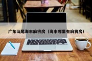 广东汕尾海丰麻将房（海丰哪里有麻将房）