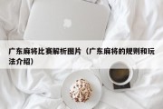 广东麻将比赛解析图片（广东麻将的规则和玩法介绍）