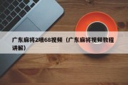 广东麻将2哦68视频（广东麻将视频教程 讲解）