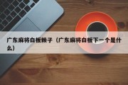 广东麻将白板赖子（广东麻将白板下一个是什么）