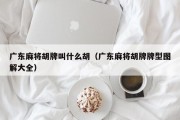 广东麻将胡牌叫什么胡（广东麻将胡牌牌型图解大全）