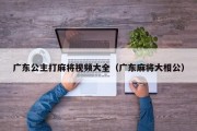 广东公主打麻将视频大全（广东麻将大相公）