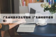 广东麻将新手怎么学视频（广东麻将初学者教程）