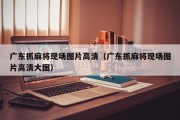 广东抓麻将现场图片高清（广东抓麻将现场图片高清大图）