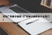 欢乐广东赖子麻将（广东赖子麻将有什么窍门）
