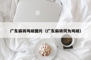 广东麻将鸡胡图片（广东麻将何为鸡胡）