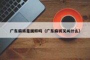 广东麻将是国粹吗（广东麻将又叫什么）