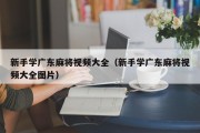 新手学广东麻将视频大全（新手学广东麻将视频大全图片）